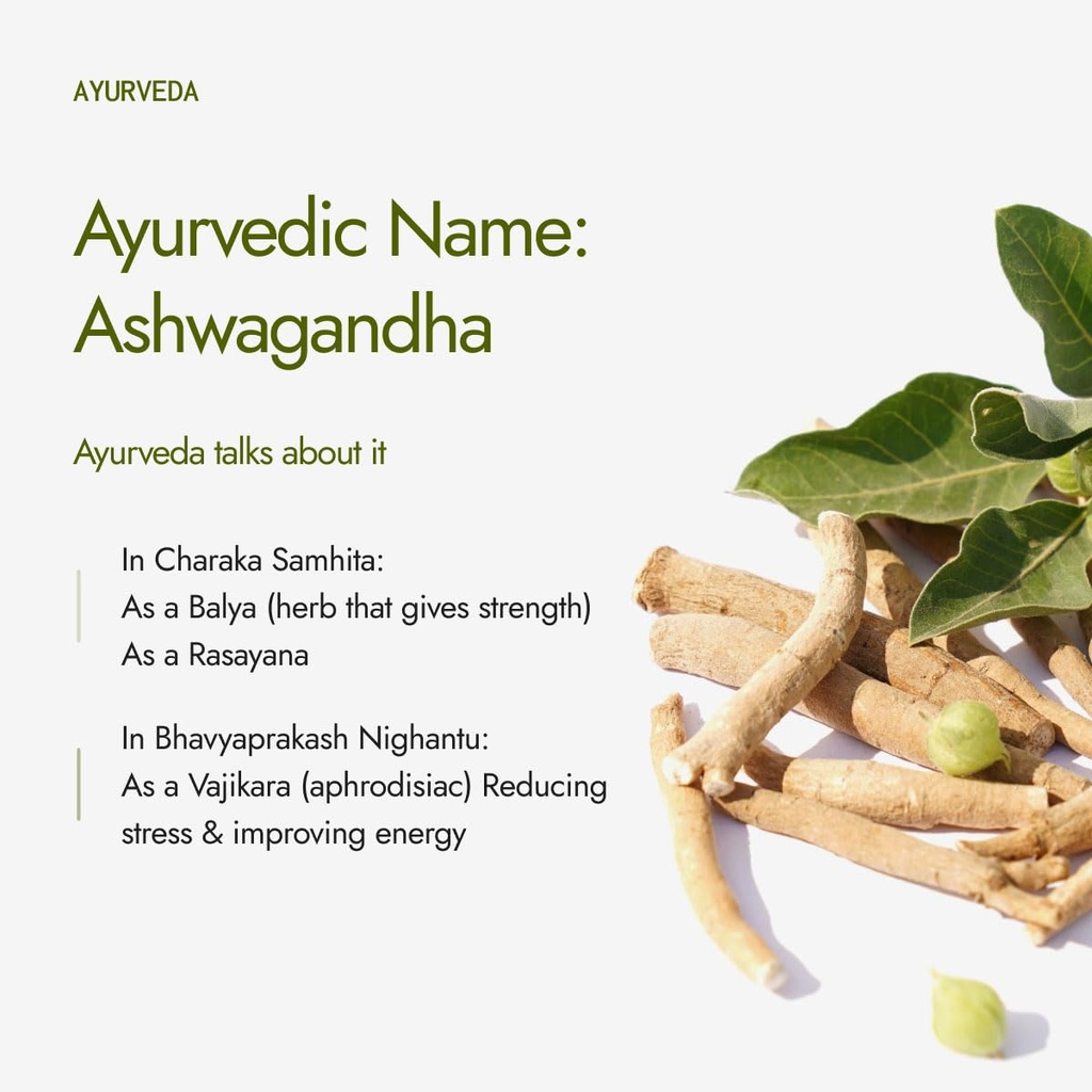 kapiva-organic-ashwagandha-powder-100g-p-61jcOdUwO+L.jpg