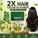 natural-amla-curry-leaf-leaves-powder-pl-711sVksyEqL.jpg