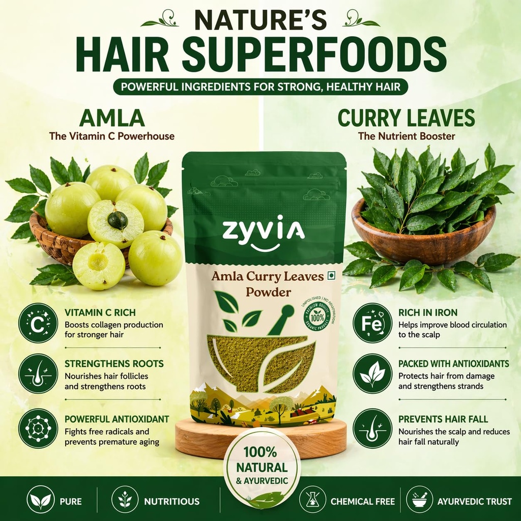 natural-amla-curry-leaf-leaves-powder-pl-71t2bntvjlL.jpg