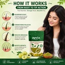 natural-amla-curry-leaf-leaves-powder-pl-712Wqj36m5L.jpg