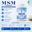 herbal-msm-powder-methylsulfonylmethane--71az90+h2EL.jpg