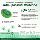 vlado-s-himalayan-organics-liposomal-ber-71rWY7MPdEL.jpg