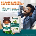 himalaya-organic-ashwagandha-670mg-table-81D7HRHuzpL.jpg