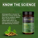 koshaveda-ashwagandha-500mg-60-tablets-71M7dpKkxdL.jpg