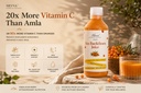 mevva-100-pure-himalayan-sea-buckthorn-p-710BRY8XceL.jpg