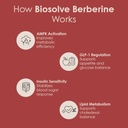 gataca-biosolve-berberine-9x-more-absorp-51M+3DmaLFL.jpg