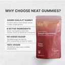 neat-everyday-apple-cider-vinegar-shilaj-61PwXHFPykL.jpg