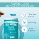vital-proteins-marine-collagen-unflavore-71oYdLSlAHL.jpg