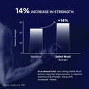 rasayanam-multivitamin-for-men-testoboos-6191eZsw7cL.jpg