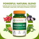 pure-nutrition-berberine-supplement-180--71rqWiV7+rL.jpg