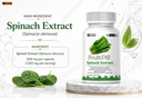 by-leewell-spinach-leaf-powder-extract-1-71RL0zY4naL.jpg