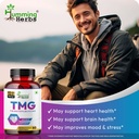 tmg-supplement-trimethylglycine-500-mg-9-81uwD3w9lqL.jpg