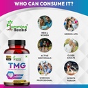 tmg-supplement-trimethylglycine-500-mg-9-81-LbwOsH1L.jpg