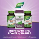 nature-s-way-andrographis-standardized-e-81BcvFaA8zL.jpg