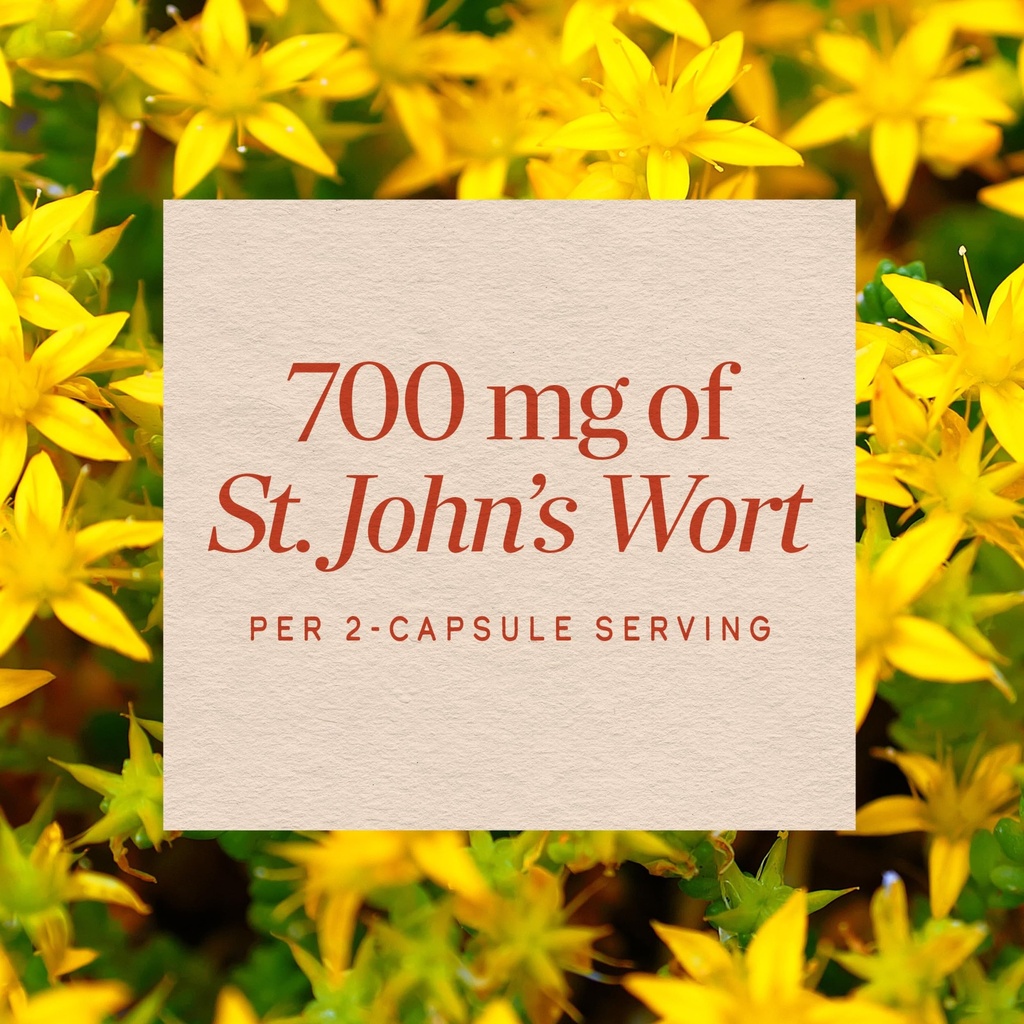 nature-s-way-st-john-s-wort-capsules-700-91vrMpz5TeL.jpg