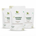 jackfruit-powder-gluten-free-anti-acne-s-515Ef2mK+YL.jpg