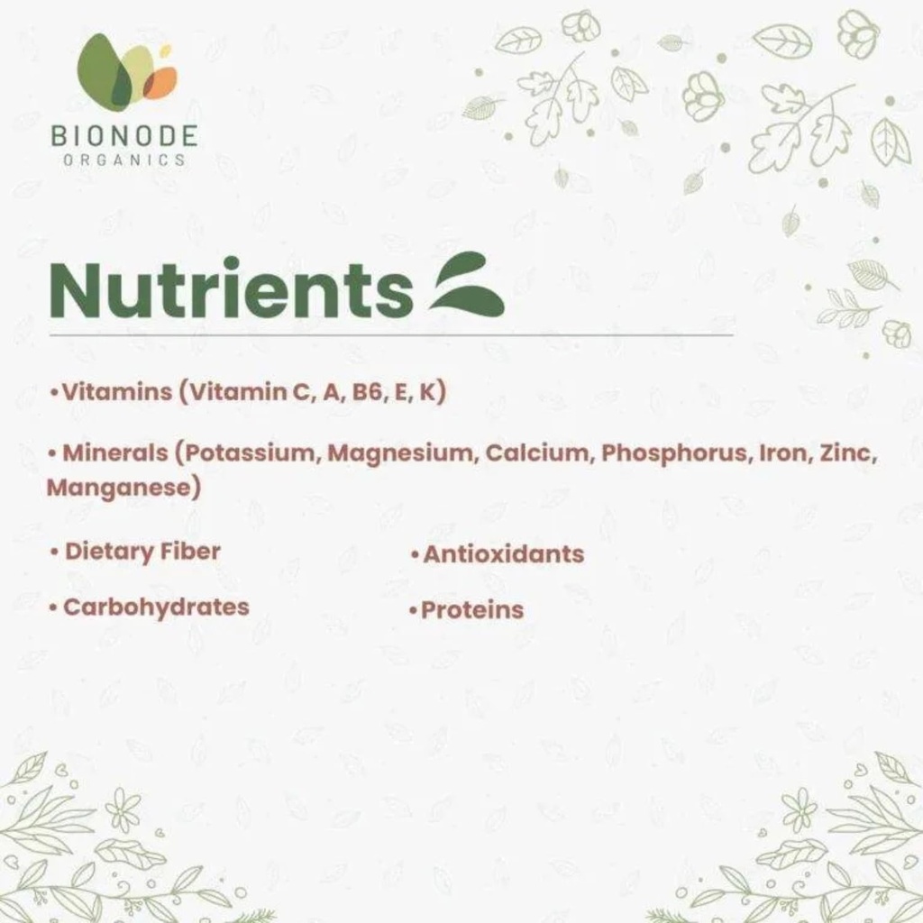 bionode-organics-ripe-jackfruit-powder-g-61Qau76xVML.jpg