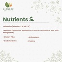 bionode-organics-ripe-jackfruit-powder-g-61Qau76xVML.jpg