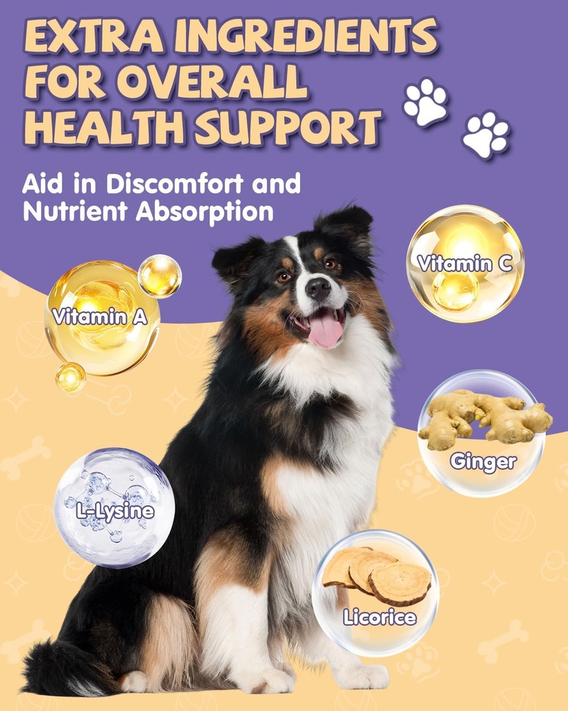 eagoudiary-dog-cough-treatmentliquid-ken-5.jpg