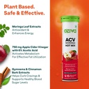 oziva-acv-moringa-hot-mix-tablets-gymnem-61Dos4LMkJL.jpg