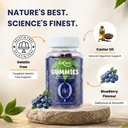 castor-oil-colon-cleanse-gummies-relieve-813qpc7ojQL.jpg