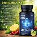 premium-metabon-detox-capsules-metabon-w-71aV4YN4E1L.jpg