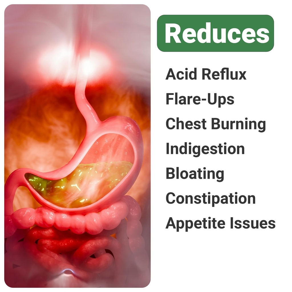 dglcap-advanced-gut-health-supplements-3-71m+o2YwPzL.jpg