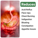 dglcap-advanced-gut-health-supplements-3-71m+o2YwPzL.jpg