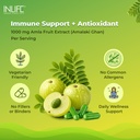 inlife-vitamin-c-amla-extract-supplement-81zkeN42lrL.jpg