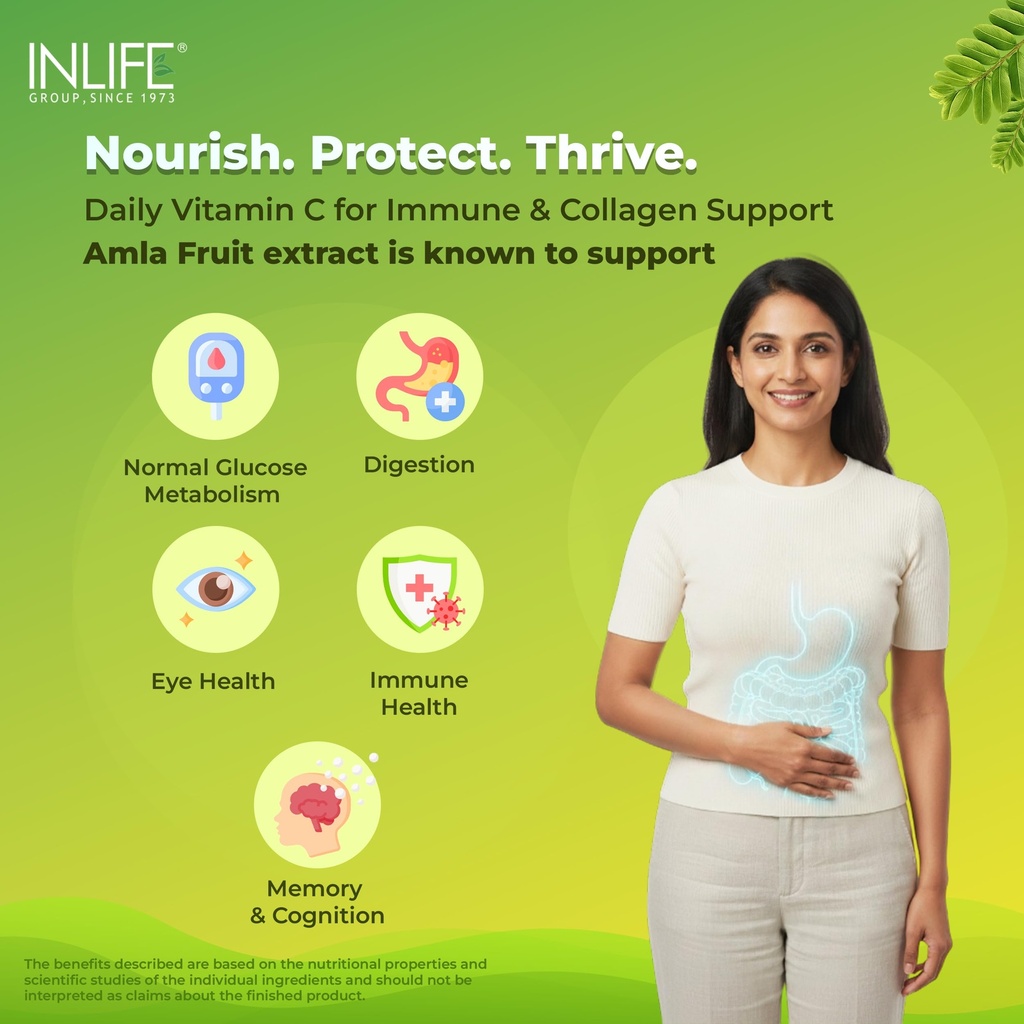 inlife-vitamin-c-amla-extract-supplement-81T0xP6eItL.jpg