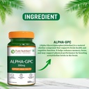 pure-nutrition-alpha-gpc-300mg-with-l-gl-81x+JKcVeLL.jpg
