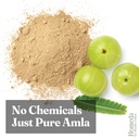 shudh-online-dry-amla-powder-for-hair-gr-81IlfbmDc1L.jpg