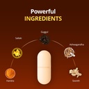 antarth-gold-tablets-ashwagandha-guggul--71IaDrr7lML.jpg