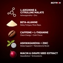 scitron-volcano-pre-workout-300g-60-serv-61SjmyKT6YL.jpg