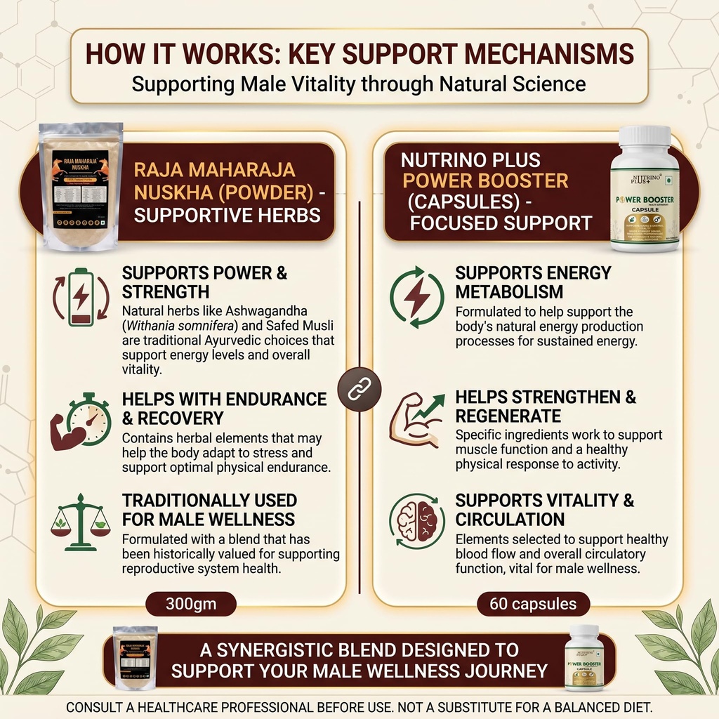 raja-maharaja-nuskha-men-s-vitality-ener-81yOfkcP+mL.jpg