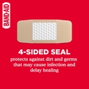 band-aid-brand-adhesive-bandages-family--810GAq9+V4L.jpg