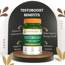pure-nutrition-testoboost-supplement-for-61fQCAWQ8EL.jpg