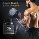 nutrabay-gold-mega-mass-gainer-powder-1k-81gty2DJQGL.jpg