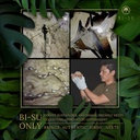 bi-su-extract-powder-stick-with-natural--5.jpg