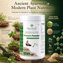 plant-protein-powder-pea-brown-rice-prot-81Rk5x8gXEL.jpg