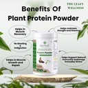 plant-protein-powder-pea-brown-rice-prot-718KhGzwCAL.jpg