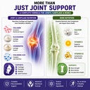 nutraceuticals-swift-joint-supplement-wi-71ygvlMEcnL.jpg