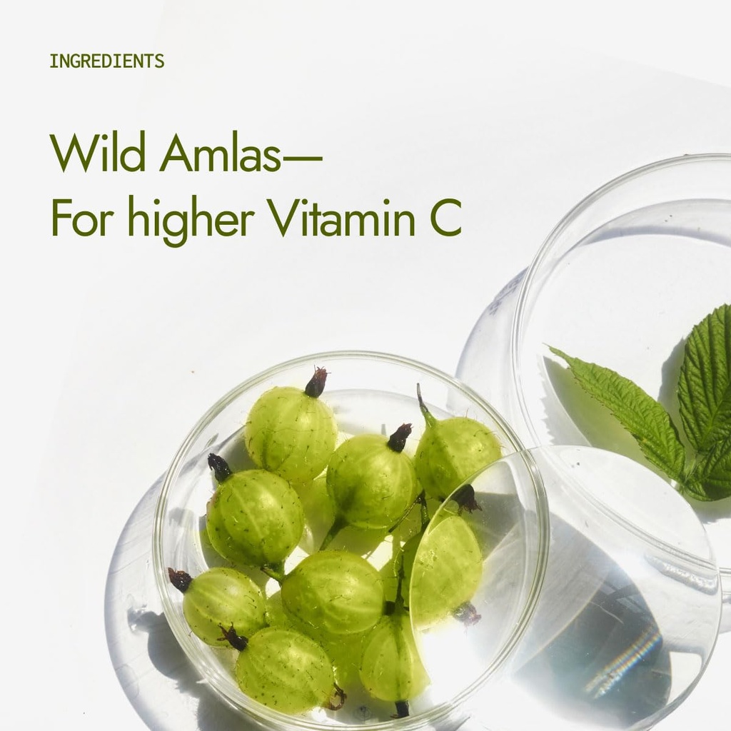 kapiva-organic-amla-powder-100g-supports-61UYu2yl+6L.jpg