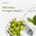 kapiva-organic-amla-powder-100g-supports-61UYu2yl+6L.jpg