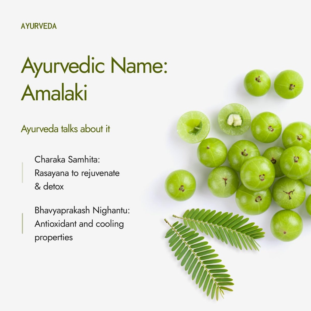 kapiva-organic-amla-powder-100g-supports-61TdhkaS+ML.jpg