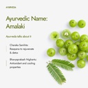 kapiva-organic-amla-powder-100g-supports-61TdhkaS+ML.jpg
