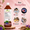 ayumcure-memofokus-juice-1l-ayurvedic-br-818chQorRbL.jpg