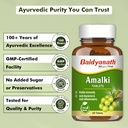 baidyanath-ayurved-amlaki-amla-60-tablet-71tZdoXE8-L.jpg