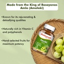 baidyanath-ayurved-amlaki-amla-60-tablet-71RtjKX+CZL.jpg