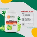 krishna-s-herbal-ayurveda-amla-phyllanth-61wo1TtDgZL.jpg